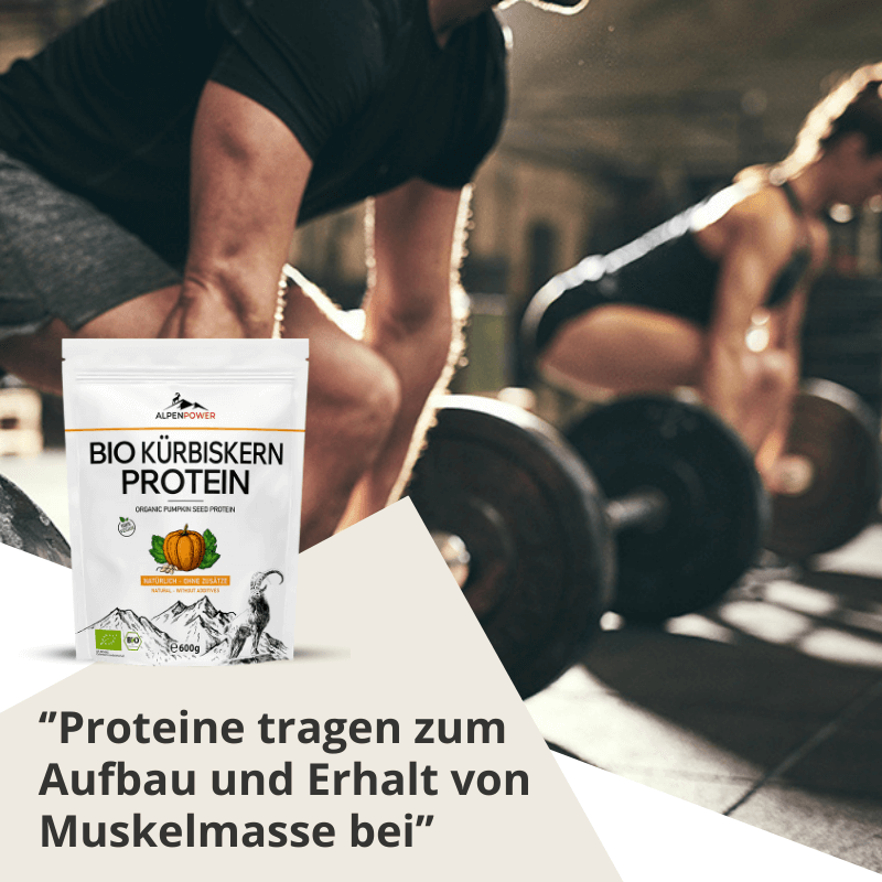 Muskelaufbau_BioKürbiskernProtein.png