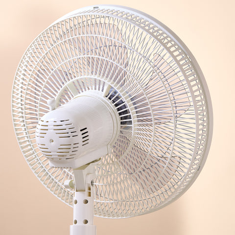Homend Fanomen 9010H Hız ve Açı Ayarlı Döner Başlıklı Ayaklı Vantilatör 55W